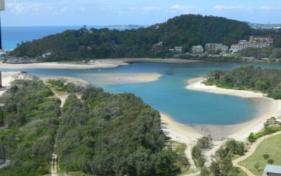 Into the deep: exploring Palm Beach’s scenic dive sites