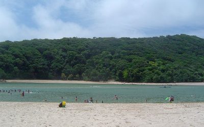 A Tallebudgera Creek experience